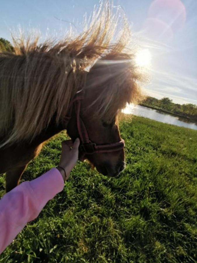 Dom Nad Rozlewiskiem Połczyn-Zdrój Exteriér fotografie